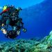 Luiz Rocha
2021 Rolex Awards Laureate
Luiz Rocha works to explore and protect mesophotic coral reefs and their biodiversity
in the Indian Ocean, and to strengthen conservation of these largely unknown
ecosystems.