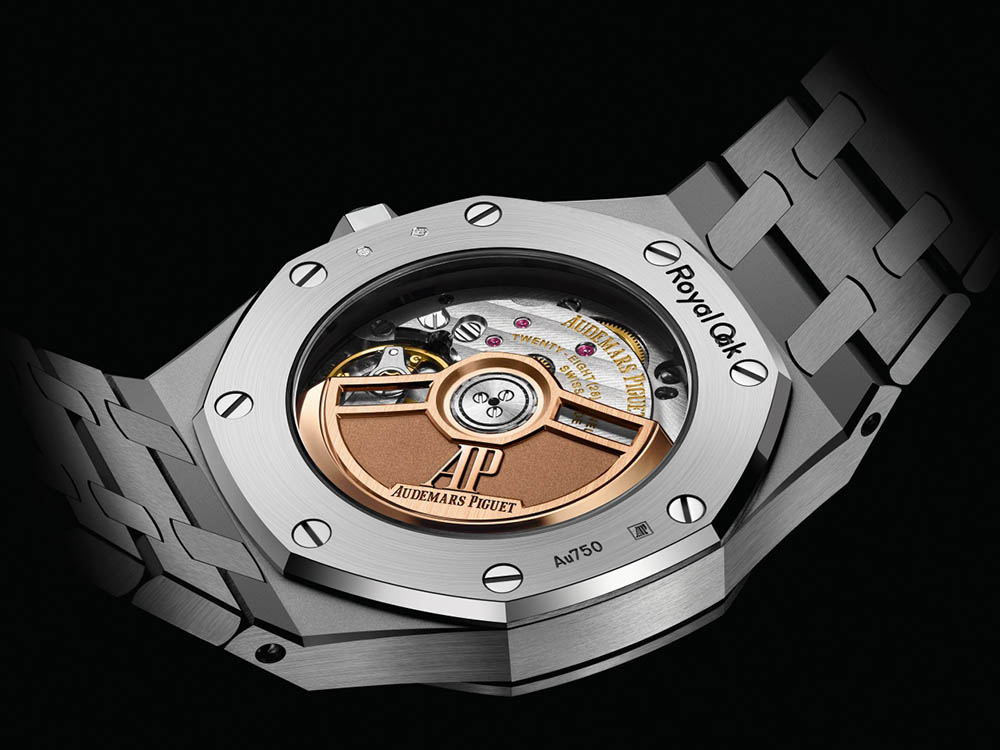 RO 77353BC GG 1263BC 01 backcase GP11 JPEG