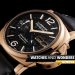 Pam1269 Cat Dett01 B 2303480 1