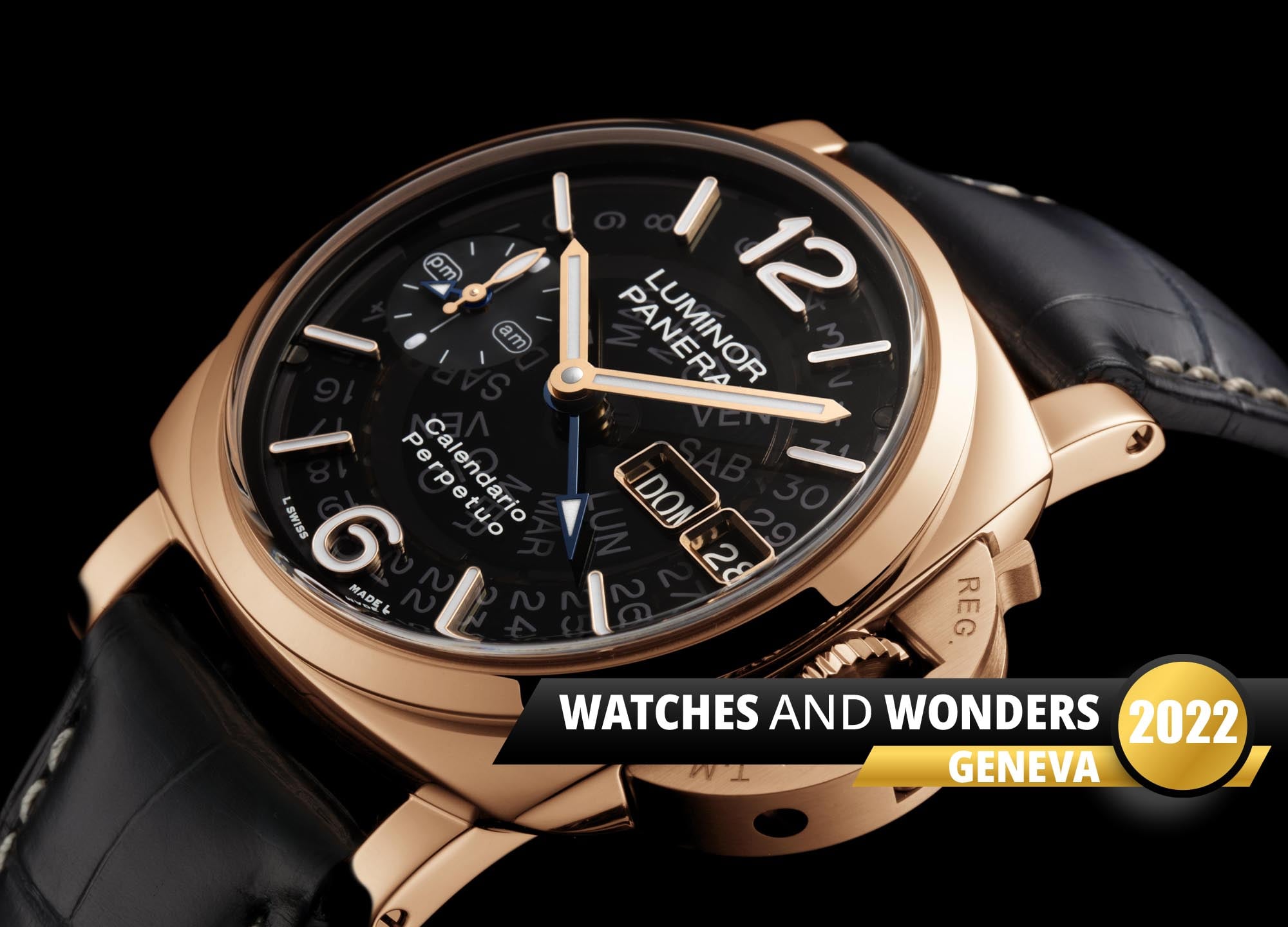 Pam1269 Cat Dett01 B 2303480 1