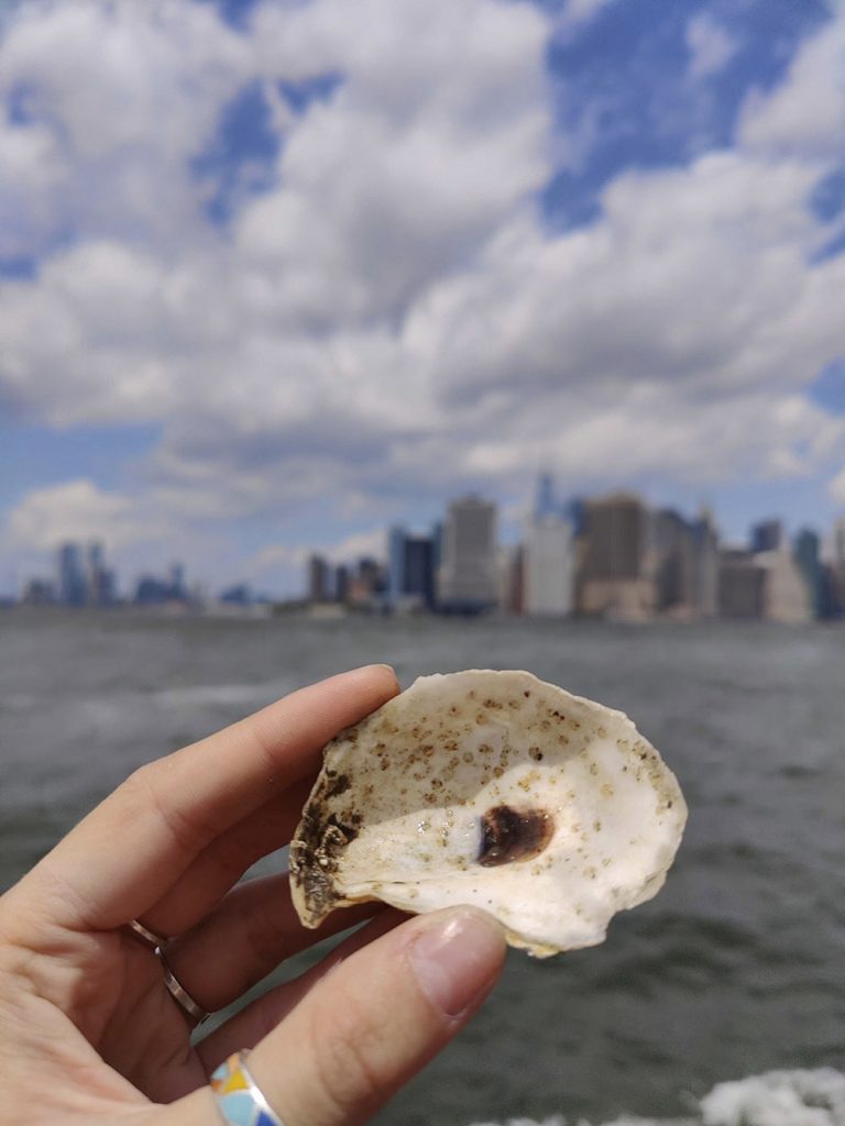 Billion Oyster Project 18