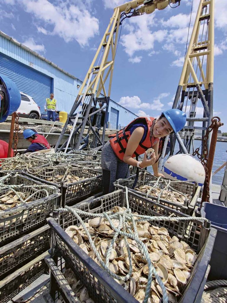 Billion Oyster Project 3