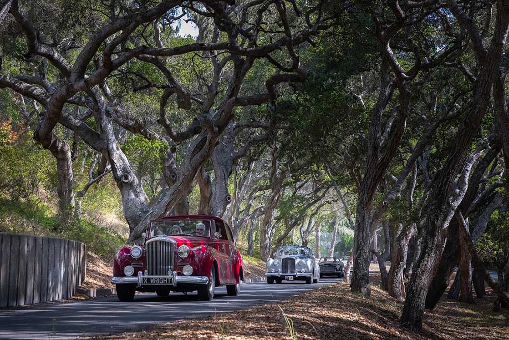 由勞力士呈獻的2021年圓石灘車展（Pebble Beach Tour dElegance®）期間，汽車於德哈馬郡樹林間穿行©Rolex Tom ONeal