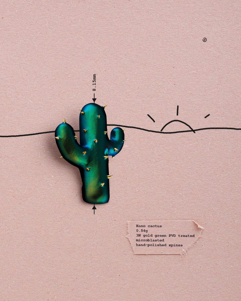 Cactus @secondeseconde