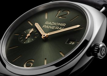 Pam1386 Cat Dett03 B 2405847