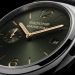 Pam1386 Cat Dett03 B 2405847