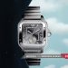 Cartier Sanots de Cartier 2