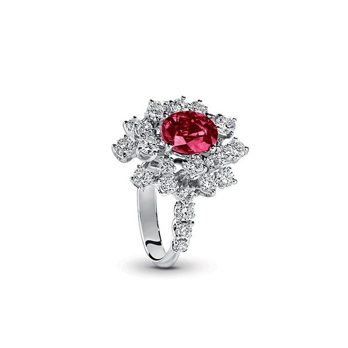 DAMIANI Mimosa含羞草系列18K白金紅寶石鑽石戒指，價格請店洽。