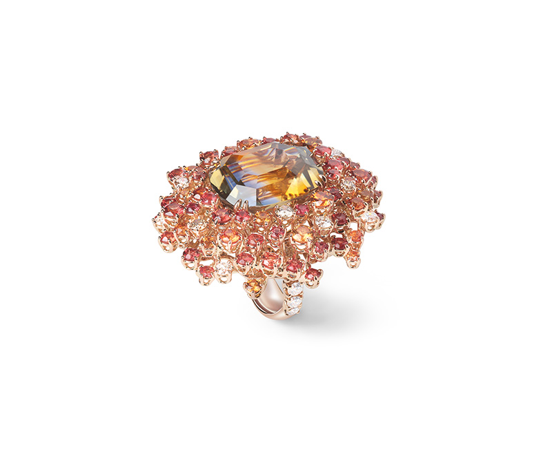 DAMIANI Mimosa Tramonto含羞草18K玫瑰金雙色藍寶石與鑽石高級珠寶戒指，建議售價NT 8250000