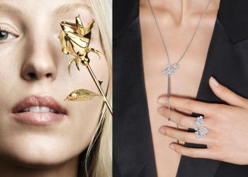 piaget cover