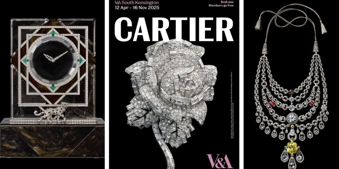 cover 5
